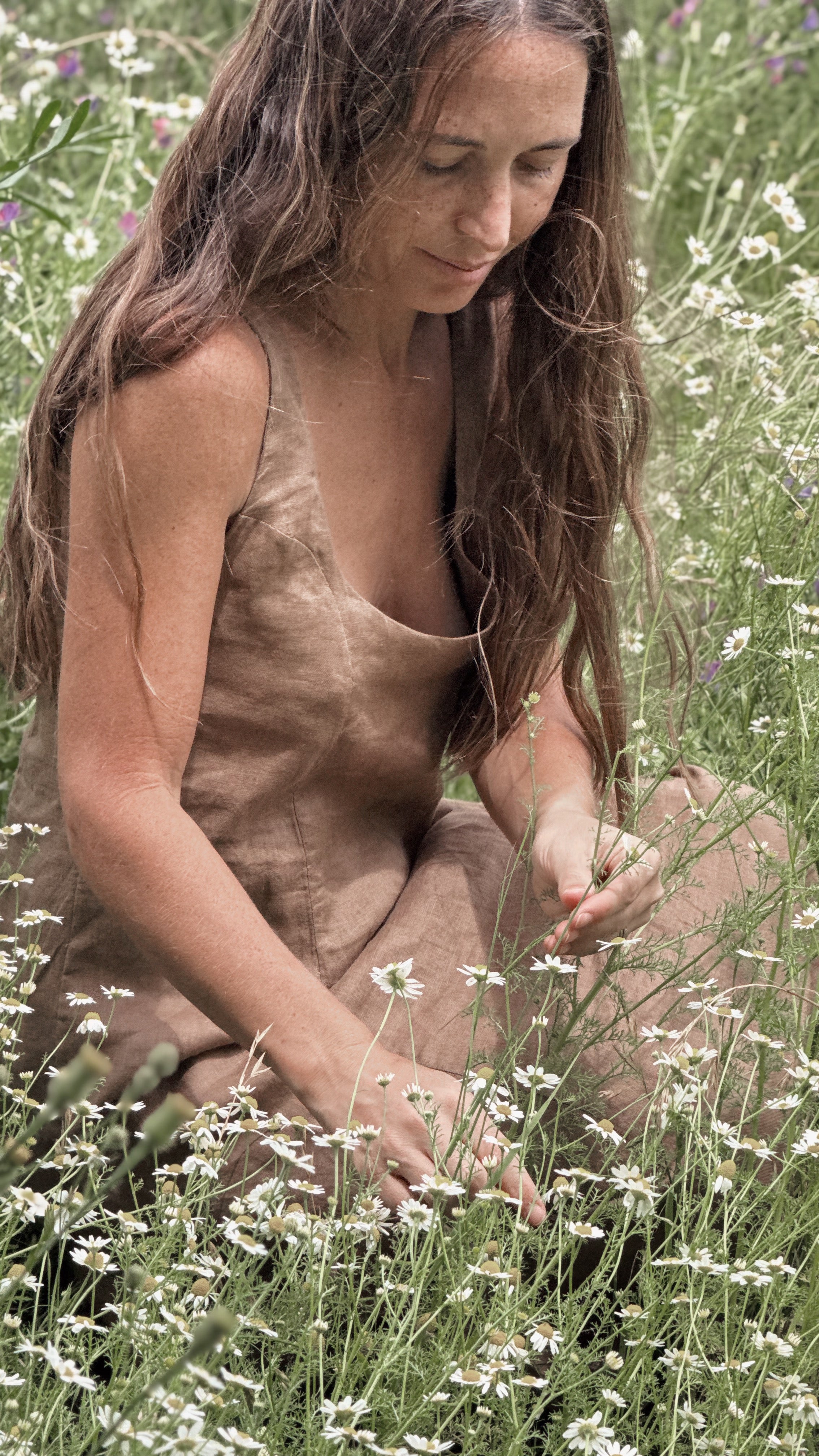 Isabel dress (habano)