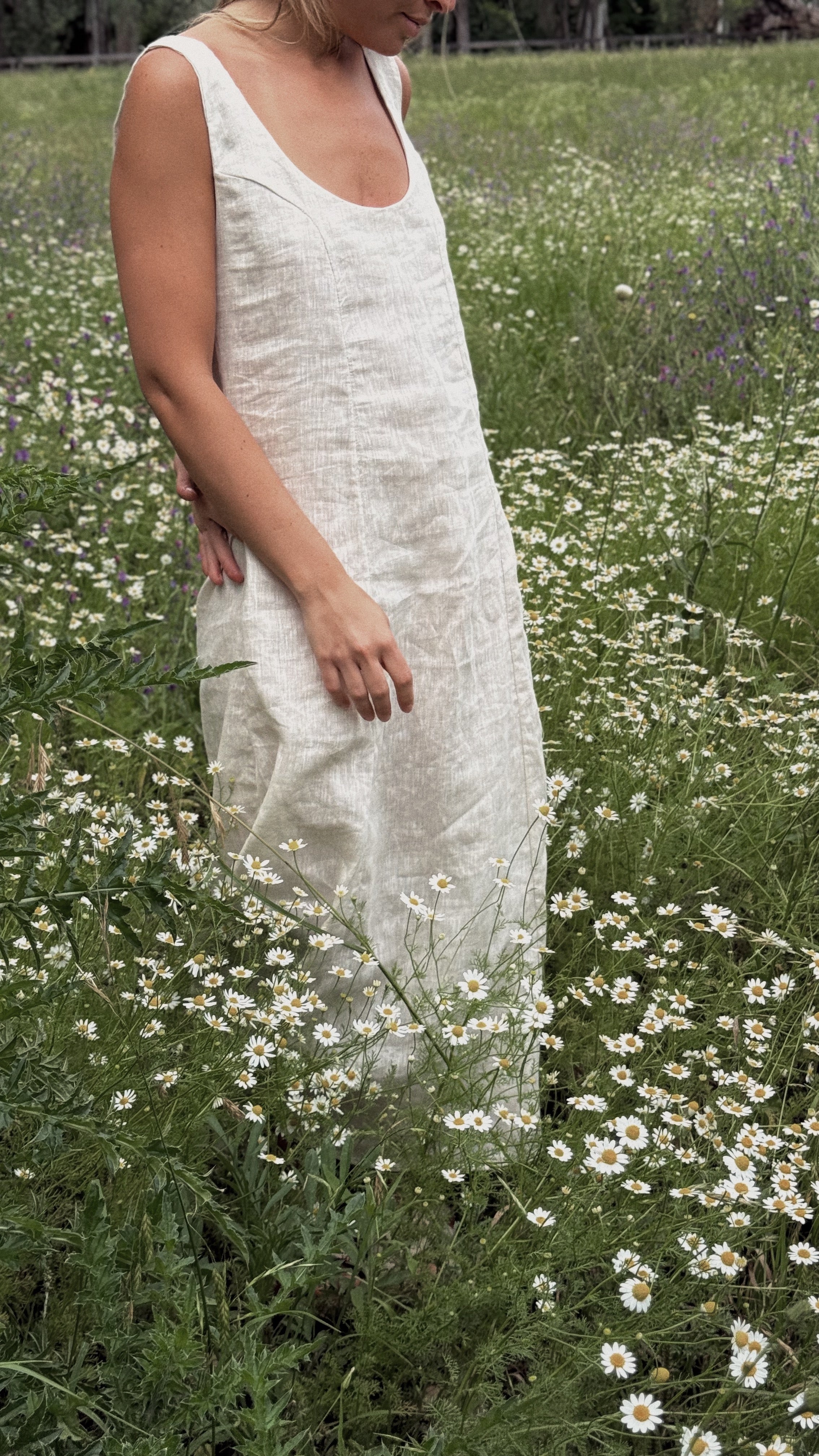 Isabel dress (crudo)