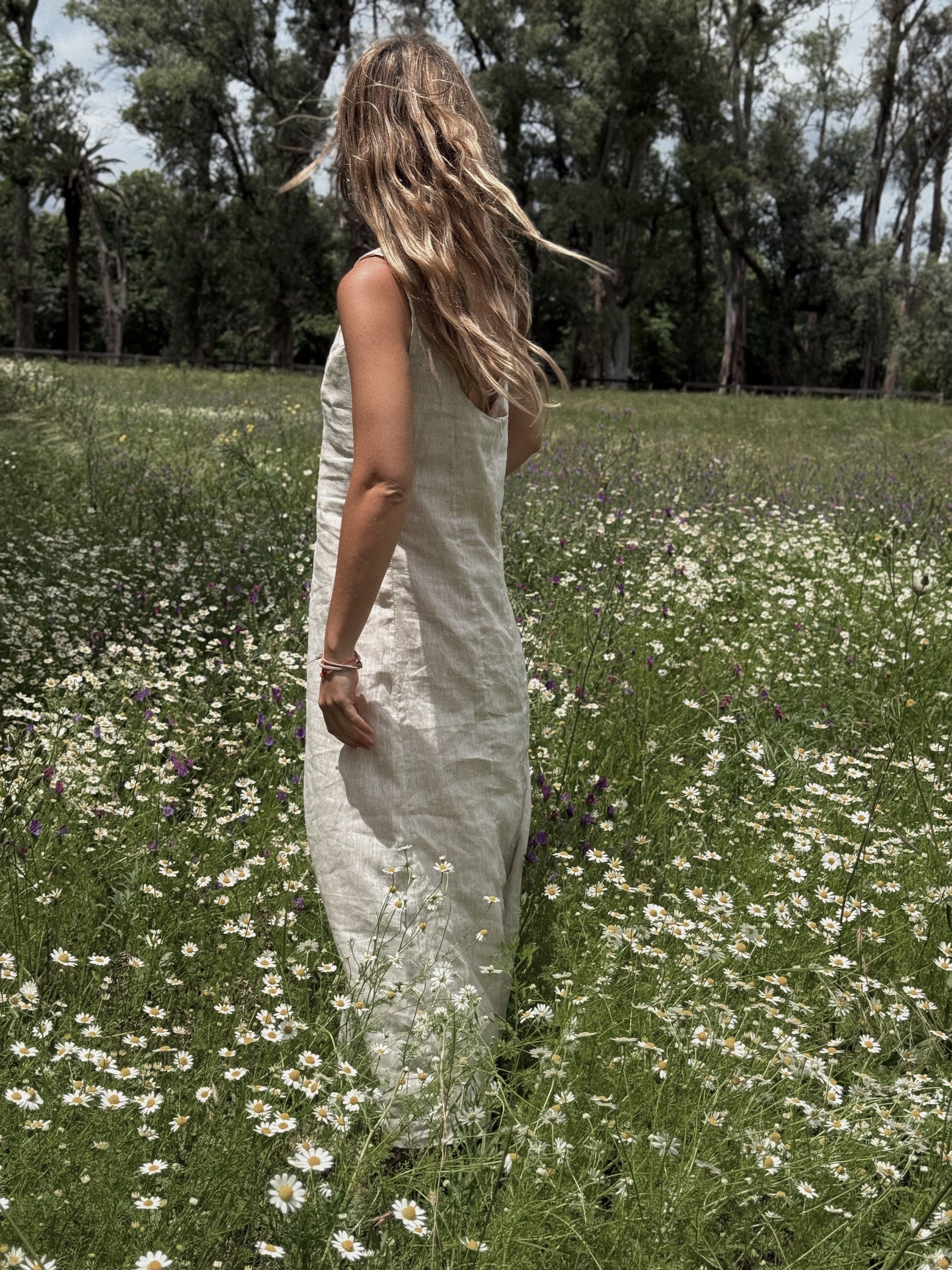 Isabel dress (crudo)