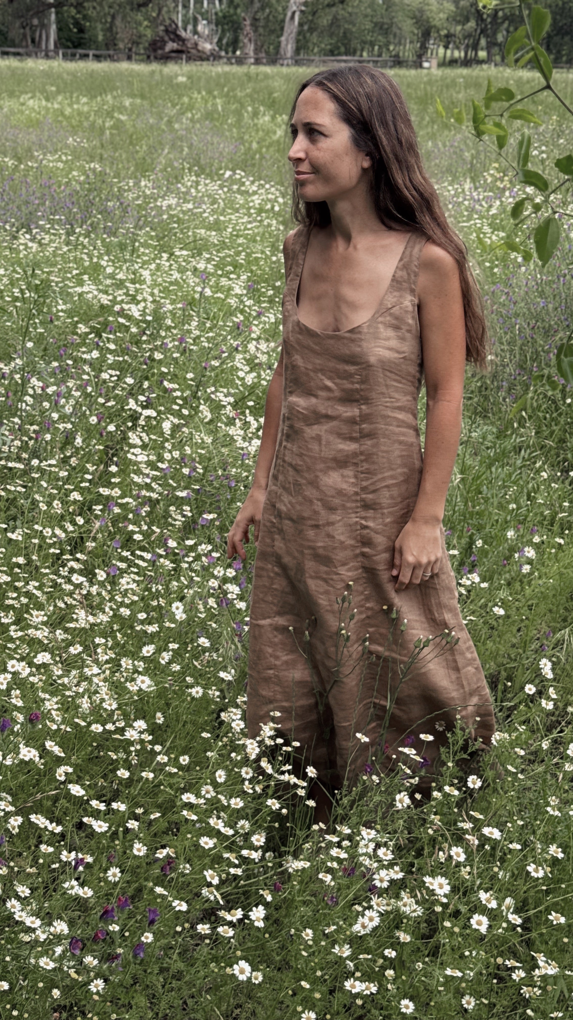 Isabel dress (habano)